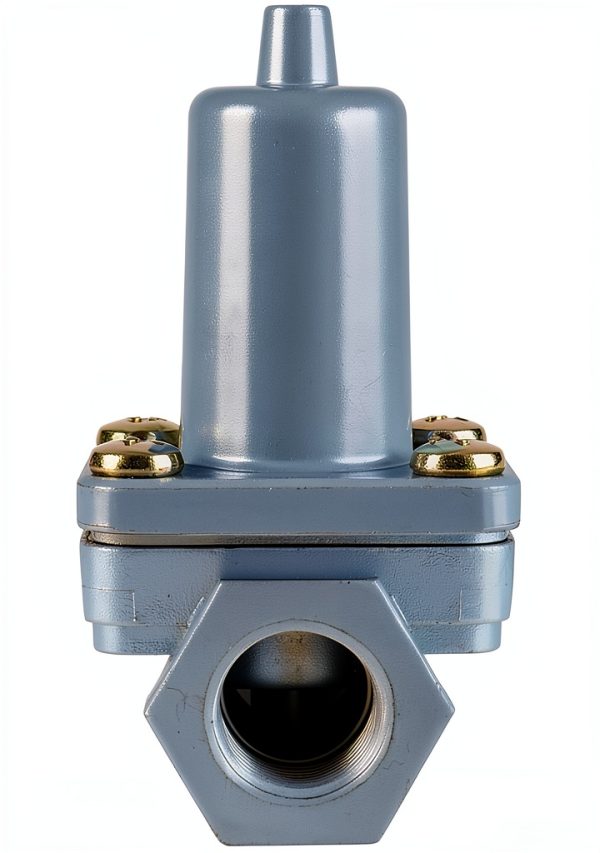 HPOPUAUTO Chrome Pressure Protection Valve Replacement-1