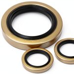 Trailer Hub Wheel Grease Seals Dlh western 2 Pack-0