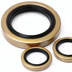Trailer Hub Wheel Grease Seals Dlh western 2 Pack-0
